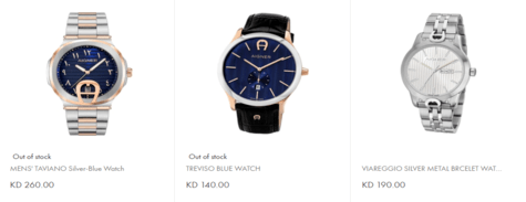 Aigner Men's Watches