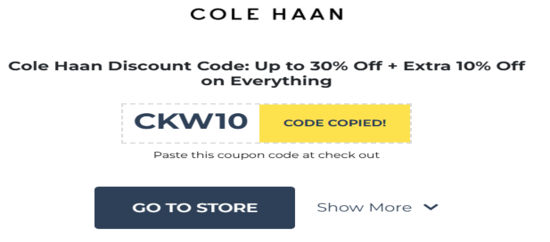 Cole Haan Copy Promo