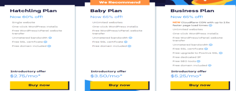 Shared Hosting