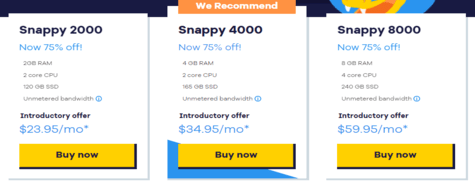 VPS PRO Hosting